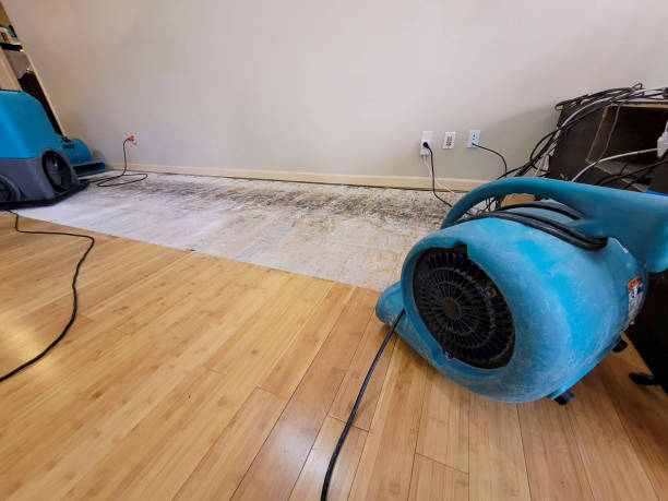 Professional Water Removal technician working in Midland, TX
